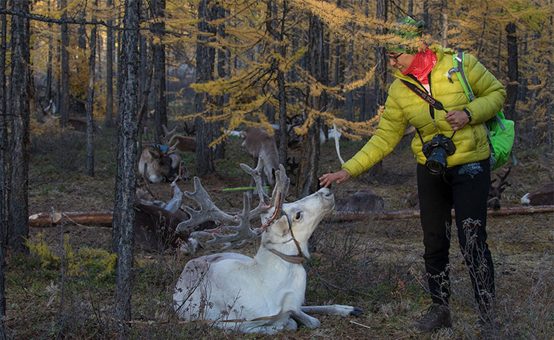 taiga mongolia 